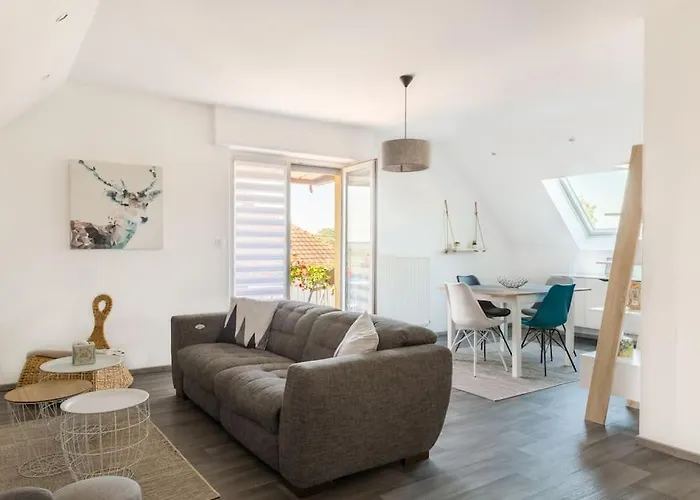 Appartement Climatise 70 M2, Proximite De Colmar