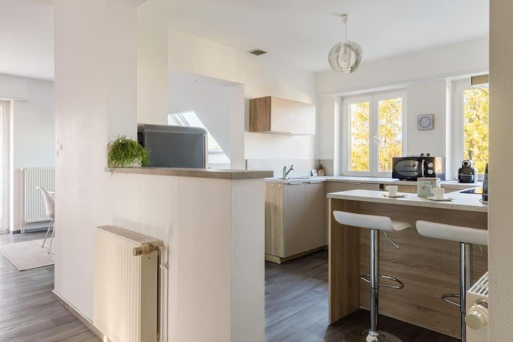 Climatise 70 M2, Proximite De Colmar Apartment *