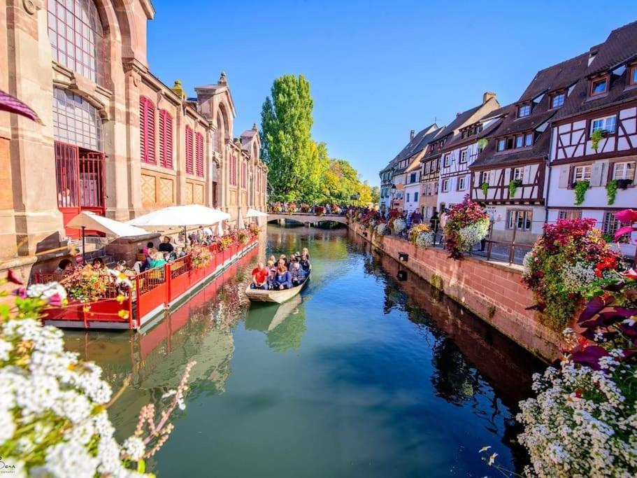 Apartment Climatise 70 M2, Proximite De Colmar *