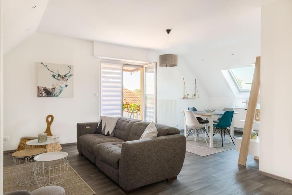 Climatise 70 M2, Proximite De Colmar Apartment