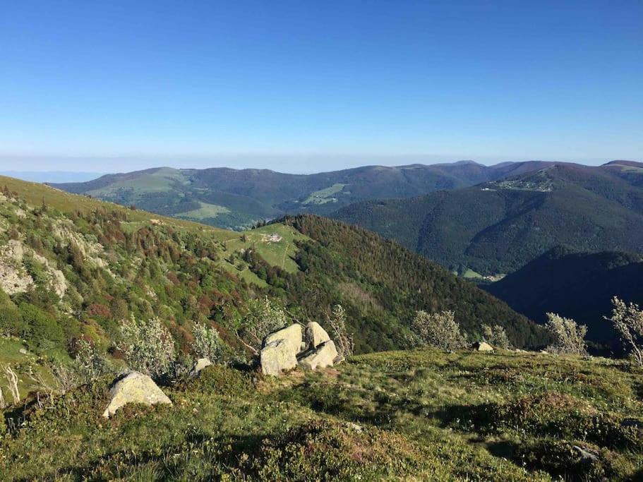 Climatise 70 M2, Proximite De Colmar *